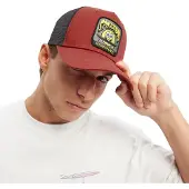 Hydroponic Sb Sk8bob Pet