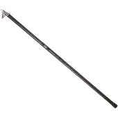 Daiwa Procaster Big Pike Bolognese Rod Zilver 5.00 m