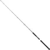 Daiwa Legalis Vertical Jigging Rod Zilver 1.91 m / 20-80 g