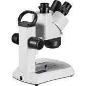 Bresser Microscoop - Analyth STR Trino - 10x tot 40x Vergroting - Op- en Doorzichtmicroscoop
