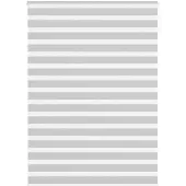 vidaXL Zebra rolgordijn 165x230 cm stofbreedte 160,9 cm lichtgrijs