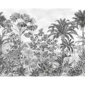 Overig Fotobehang Jungle Evolution - Zwart - 2,80m X 350cm