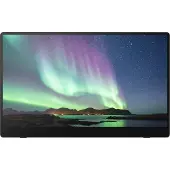 Ricoh - Portable Monitor 150BW OLED 15,6'' (Wireless)