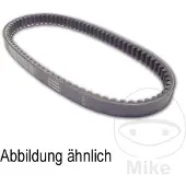 DAYCO Aandrijfriem 8131K