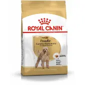 Royal Canin 6x Poodle Adult Hondenvoer 1.5 kg