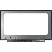 Medion LCD Scherm geschikt voor Erazer MD61681 (144Hz)
