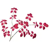 Buitengewoon Boet Blad fluweel beauty 134 cm kunsttak