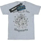 Harry Potter Heren Hogwarts Wachten Op Mijn Brief T-Shirt (Sportgrijs)