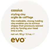 Evo Cassius Styling Clay