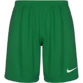 Nike Sportbroek 'League III' groen / wit