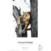 Hahnemuhle German Etching 310g A3+ Box 25 vel