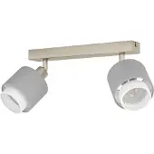 Eglo 2-lichts plafondlamp Bellizzi RVS - 2x E14