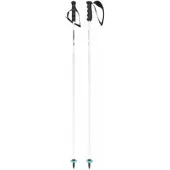 Head Skistok Worldcup Rebels Carbon White-140 cm
