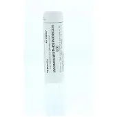 Homeoden Heel Magnesium phosphoricum D30