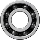 Ceramicspeed 6001 Coated Lagers