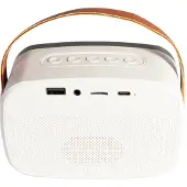 Ibiza Light KARAKID20 Mini bluetooth speaker met 2 draadloze microfoons