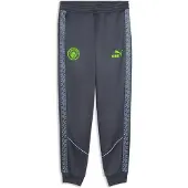 Puma Sportbroek 'Manchester City King Anthem' lichtgrijs / groen