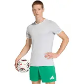 Adidas Functioneel shirt 'Entrada26' lichtgrijs / wit