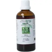 Cruydhof Avena sativa herb/haver tinctuur