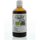 Cruydhof Olea europaea folia / olijfblad tinctuur bio