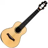 Flight Voyager EQ-A Concert