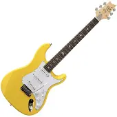 Prs SE Silver Sky Dandy Lion
