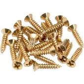 Fender Pickguard/Control Plate Mounting Screws 24 Gold