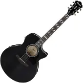 Ibanez AE170 Transparent Black