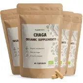 Cupplement - Chaga Capsules 500 mg Biologisch - Multipack 240 St