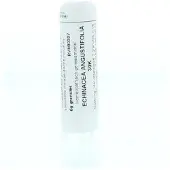 Homeoden Heel Echinacea angustifolia 30K