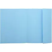 Exacompta 5x SUPER 210 - Pak van 50 dossiermappen met 1 klep - 24x32cm - Lichtblauw - 339006E