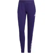 Adidas Sportbroek 'Tiro 25 Competition' braam / lichtlila