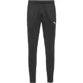 Puma Sportbroek 'Team Goal' grijs / zwart