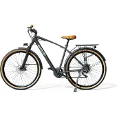 Sharp Brooklin elektrische herenfiets 29 inch