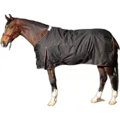 Harry's Horse Regendeken Thor 200 WI25