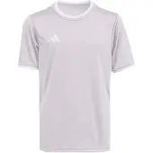 Adidas Functioneel shirt 'ENT26' stone grey / wit