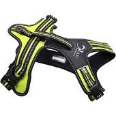 Axaeco 4 Season Power Harness Maat S 48-63cm