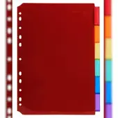 Exacompta 10x Tabbladen in Doorzichtige PP met neutrale tabs in etikethouder - 6 tabs - A4 - Geassorteerd - 3906E