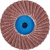 PFERD TOOLS 42719106 CD PFF 50 A 60 Lamellenschijf Diameter 50 mm Korrelgrootte (num) 60 Brons, Titanium, Titaniumlegering, Koper, Messing, RVS, Grijs/grauw