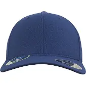 Flexfit Pet blauw