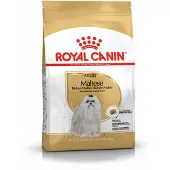 Royal Canin 12x Hondenvoer Droog Maltese Adult 500 gr
