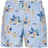 Tommy Hilfiger Zwemshorts | L | male