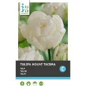 Intratuin Bloembollen Tulp (Tulipa 'Mount Tacoma') 10 Stuks