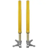 Öhlins Fgr200 Ducati V4 Panigale 2018-2024/v4r Panigale 2025 Voorvork