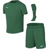 Nike Dri-FIT Park VIII Tenue Kleuters Donkergroen Wit