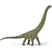 Collecta Dreadnoughtus Groen Kinderen