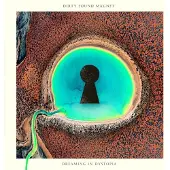 Coast2Coast Dirty Sound Magnet - Dreaming In Dystopia (LP)