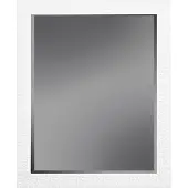 Ter halle Spiegel met facet 39x39x1.5