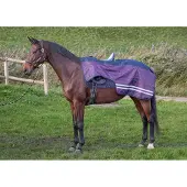 Harry's Horse Uitrijdeken Waterdicht 0gr Fleece WI24
