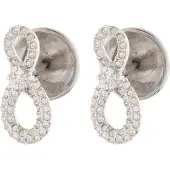 Swarovski Oorbellen zilver / transparant